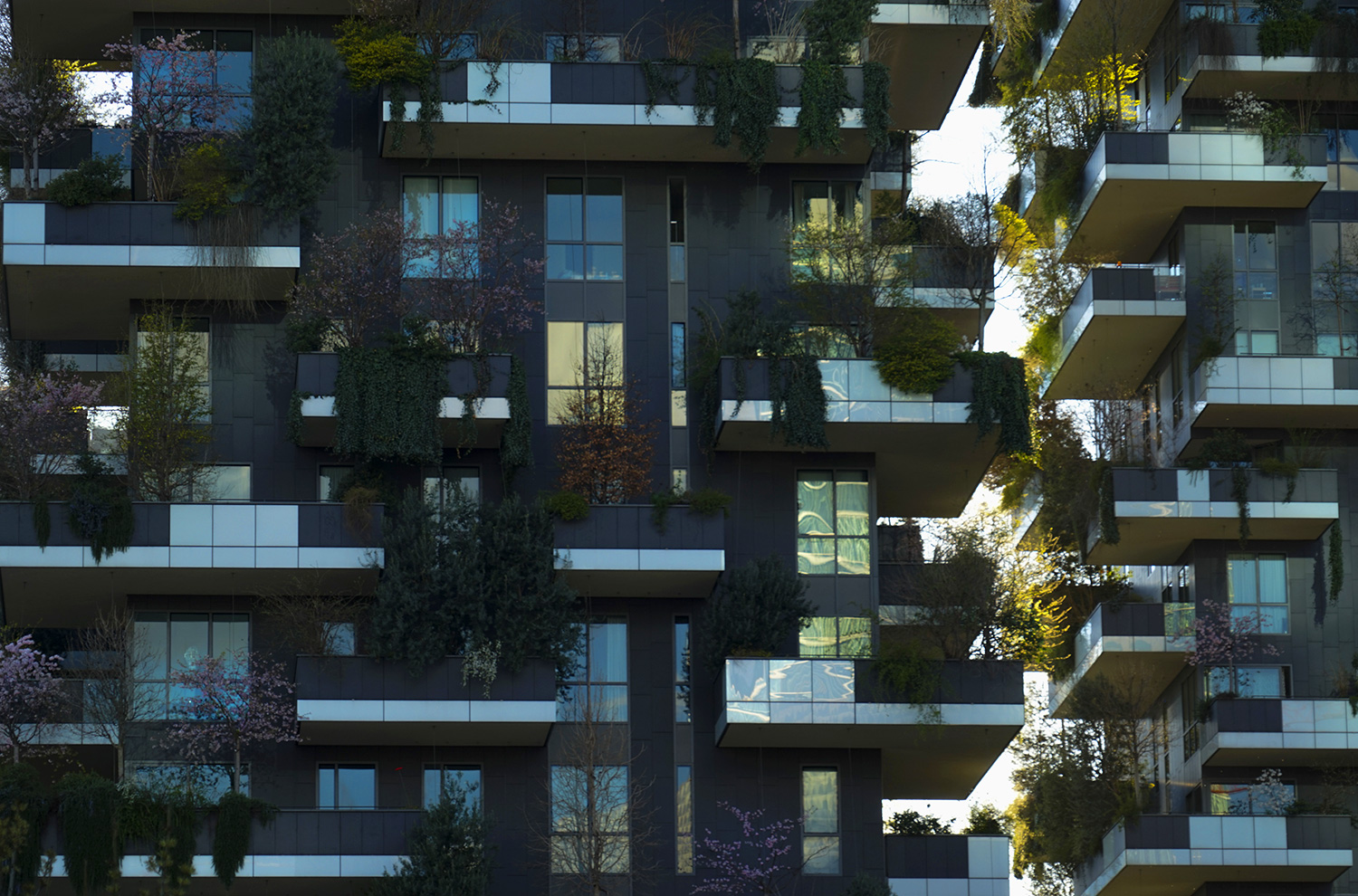bosco-verticale-milano-5